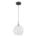 Globo - Cable-suspended pendant light 1×E27/60W/230V, Ø 25 cm