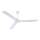 Globo - Ceiling fan