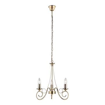 Globo - Chandelier on a chain 3xE14/40W/230V