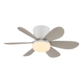 Globo - Dimmable LED ceiling fan LED/5W/230V 2700–6500K beige + remote control