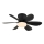 Globo - Dimmable LED Ceiling Fan LED/5W/230V 2700-6500K Black + Remote Control