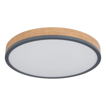 Globo - Dimmable LED Ceiling Light, 24W/230V, 2700-6500K, dia. 45 cm
