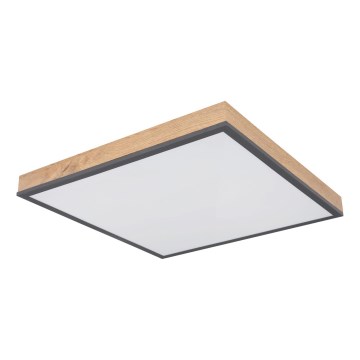 Globo - Dimmable LED ceiling light LED/24W/230V 3000-6500K 45x45 cm