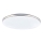 Globo - LED Ceiling Light, 24W/230V