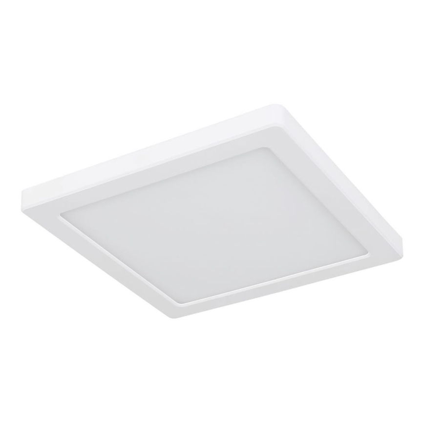 Globo - LED Ceiling light LED/12W/230V 3000/4000/6500K white