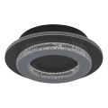 Globo - LED Ceiling Light LED/12W/230V 3000/4000/6500K Ø 20 cm Anthracite