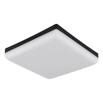 Globo - LED Ceiling light LED/12W/230V 4000K 22x22 cm black