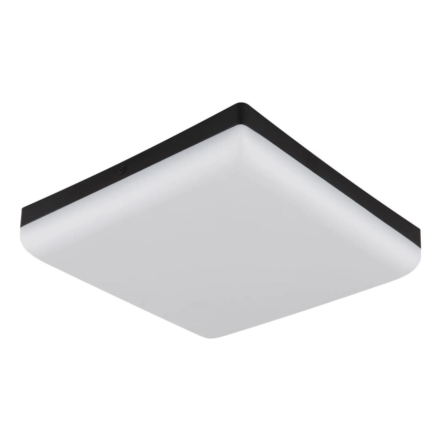 Globo - LED Ceiling light LED/12W/230V 4000K 22x22 cm black