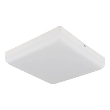Globo - LED Ceiling light LED/12W/230V 4000K 22x22 cm white