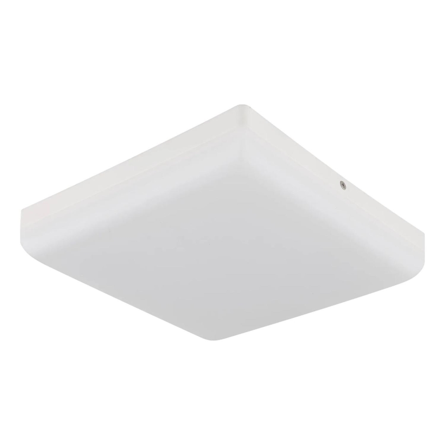 Globo - LED Ceiling light LED/12W/230V 4000K 22x22 cm white
