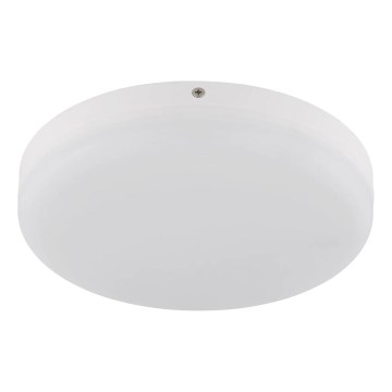 Globo - LED Ceiling light LED/12W/230V 4000K d. 22 cm white