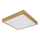 Globo - LED Ceiling light LED/15W/230V 25x25 cm