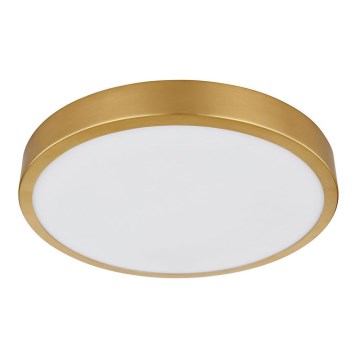 Globo - LED Ceiling light LED/15W/230V d. 25 cm