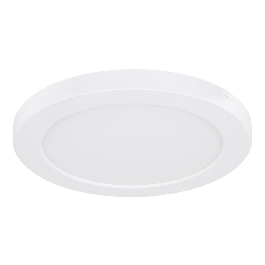 Globo - LED Ceiling light LED/18W/230V 3000/4000/6500K white