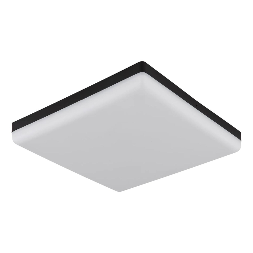 Globo - LED Ceiling light LED/18W/230V 4000K 30x30 cm black