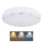 Globo - LED Ceiling light LED/24W/230V 3000/4000/6000K d. 37,5 cm