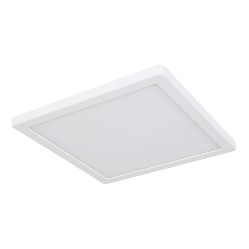 Globo - LED Ceiling light LED/24W/230V 3000/4000/6500K white