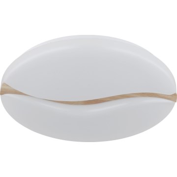 Globo - LED Ceiling light LED/24W/230V 3000/4200/6000K d. 33 cm
