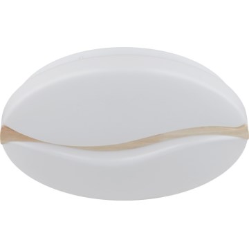 Globo - LED Ceiling light LED/24W/230V 3000/4200/6000K d. 39 cm
