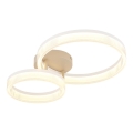Globo - LED Ceiling Light LED/24W/230V 3000K 33x50 cm