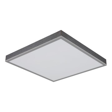 Globo - LED Ceiling light LED/24W/230V 3000K 45x45 cm