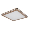 Globo - LED Ceiling light LED/24W/230V 45x45 cm