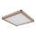 Globo - LED Ceiling light LED/24W/230V 45x45 cm