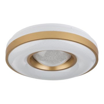 Globo - LED Ceiling light LED/24W/230V