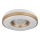 Globo - LED Ceiling light LED/24W/230V