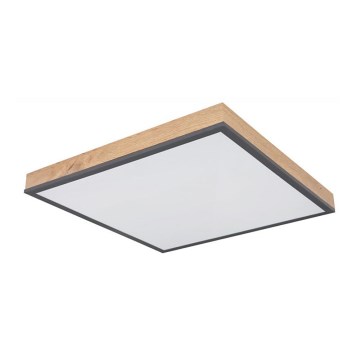 Globo - LED Ceiling light LED/24W/230V
