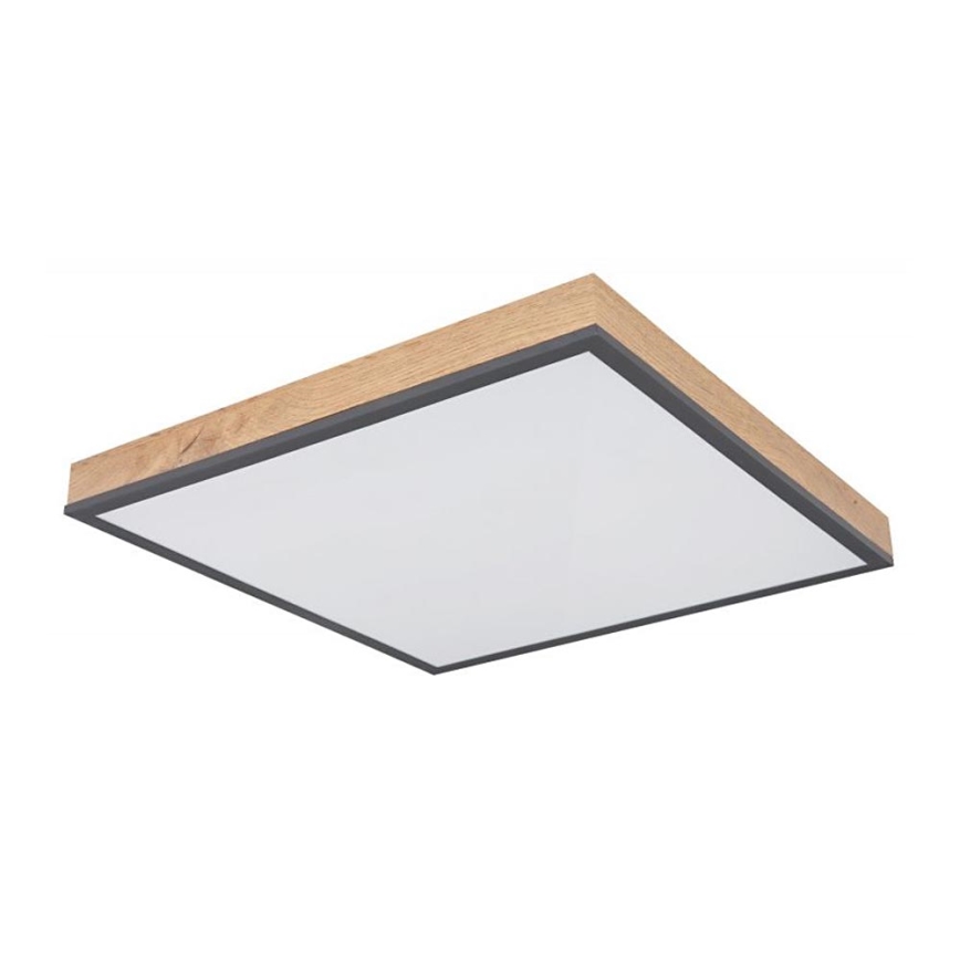Globo - LED Ceiling light LED/24W/230V