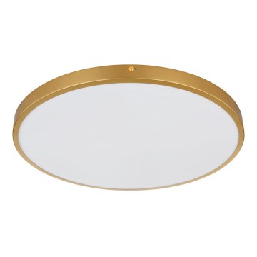 Globo - LED Ceiling light LED/30W/230V d. 45 cm