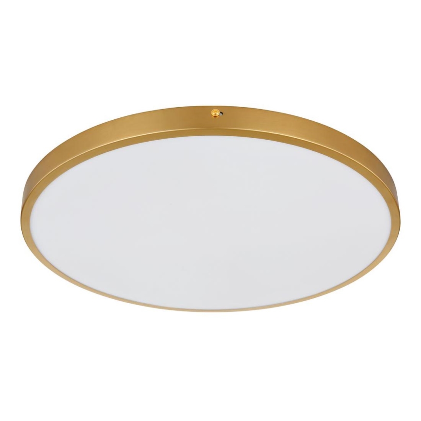 Globo - LED Ceiling light LED/30W/230V d. 45 cm