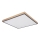 Globo - LED Ceiling light LED/36W/230V
