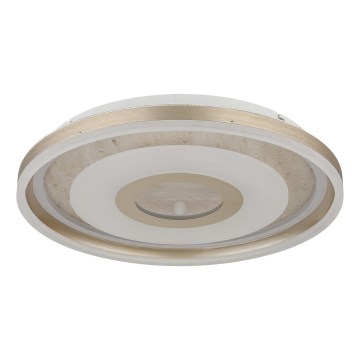 Globo - LED Ceiling Light LED/40W/230V 3000K Ø 50 cm