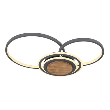 Globo - LED Ceiling light LED/40W/230V