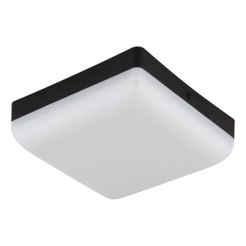 Globo - LED Ceiling light LED/8W/230V 4000K 12x12 cm black