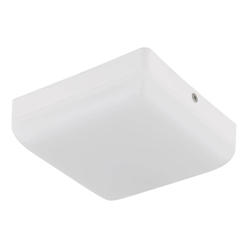 Globo - LED Ceiling light LED/8W/230V 4000K 12x12 cm white