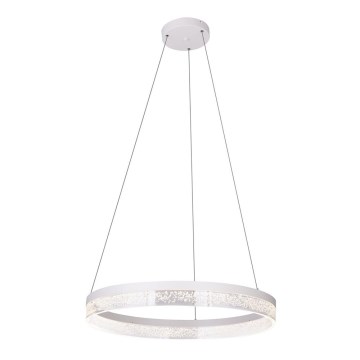 Globo - LED Chandelier on a string 1xLED/36W/230V