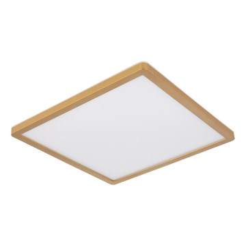 Globo - LED Dimmable bathroom ceiling light LED/24W/230V 3000K IP44 42x42 cm brass