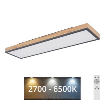 Globo - LED Dimmable ceiling light LED/24W/230V 2700-6500K + remote control