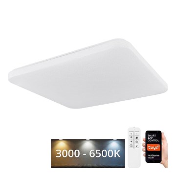 Globo - LED Dimmable ceiling light LED/30W/230V 3000-6500K + remote control
