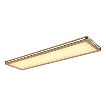 Globo - LED Dimmable ceiling light LED/36W/230V 3000K 30x120 cm
