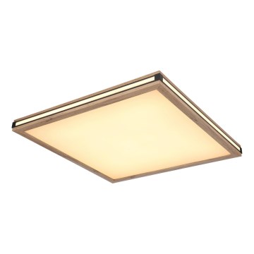 Globo - LED Dimmable ceiling light LED/36W/230V 3000K 60x60 cm