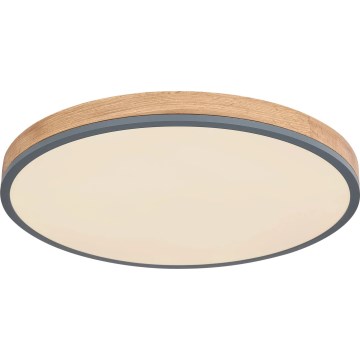 Globo - LED Dimmable ceiling light LED/40W/230V 2700-6500K d. 60 cm + remote control brown/grey