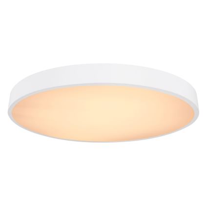 Globo - LED Dimmable ceiling light LED/48W/230V 3000-6000K + remote control