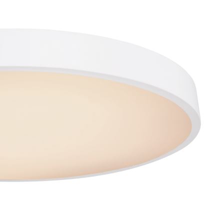 Globo - LED Dimmable ceiling light LED/48W/230V 3000-6000K + remote control