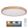 Globo - LED Dimmable ceiling light LED/60W/230V 3000-6000K + remote control