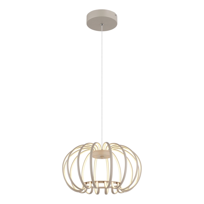 Globo - LED Dimmable pendant light on cable LED/40W/230V 3000K