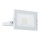 Globo - LED Flood Light LED/10W/230V IP65